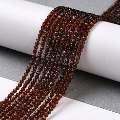 Прозрачные стеклянные бусины&nbsp;GLAA-H021-03-01