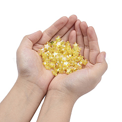 Экологичные прозрачные акриловые бусины&nbsp;TACR-YW0001-01C