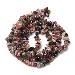 Естественно турмалин чип бусины пряди G-D093-A05