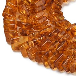 Янтарные шарики нити&nbsp;G-K376-C03-01