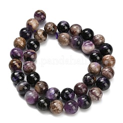 Естественно чароитовыми бисер пряди G-G300-A01-10mm