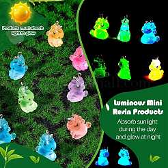 24шт 6 цвета светящиеся прозрачные подвески из смолы RESI-SZ0002-07