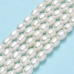 Brins de perles de culture d'eau douce naturelles&nbsp;PEAR-J006-03A
