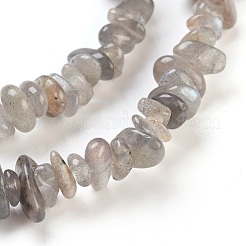 Perline labradorite naturale fili&nbsp;G-F575-10