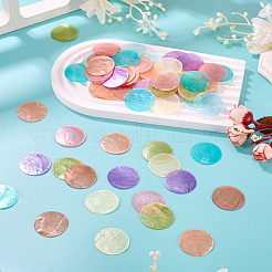 80 шт. подвески из натуральной ракушки капиз&nbsp;BSHE-TA0001-24