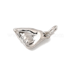 Латунь подвески KK-I364-09P-02