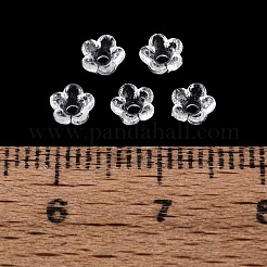 Abalorios de acrílico transparentes&nbsp;X-OACR-ZX007-04A-01
