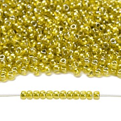 Toho 8/0 runde Perlen&nbsp;SEED-TR08-1013