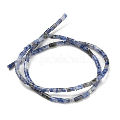 Натуральное синее пятно нитки из бисера яшмы G-P600-B05-01