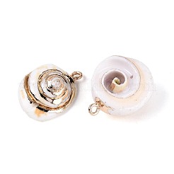 Galvanisierte Anhänger aus natürlichen Muscheln&nbsp;SSHEL-T017-45