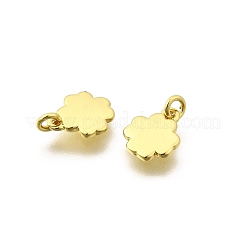 Латунь подвески&nbsp;KK-I275-15G-02