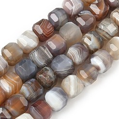 Природные Ботсвана агат бисер нитей&nbsp;G-C267-A07