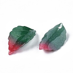 Пластиковые подвески&nbsp;KY-N015-040D