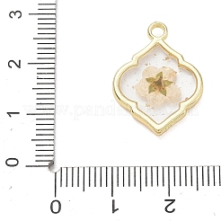 Epoxidharz-Legierungsanhänger&nbsp;AL-Z001-08G-03