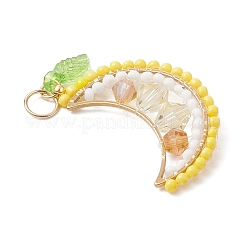 Круглые стеклянные бусины в виде фруктов&nbsp;PALLOY-MZ00864-04