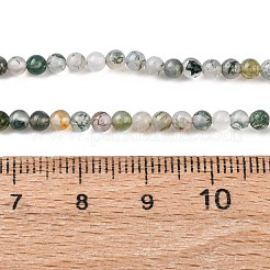 Природные моховой агат бисер нитей G-Z116-A05-3mm