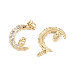 Латунь эмаль подвески&nbsp;KK-B157-05G