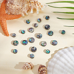 20 brin de perles en coquillage d'ormeau naturel/coquillage paua&nbsp;SSHEL-HY0001-10