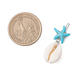 8 шт. подвески в виде морской звезды из натуральной ракушки каури двух цветов и окрашенной синтетической бирюзы&nbsp;PALLOY-JF04130-01