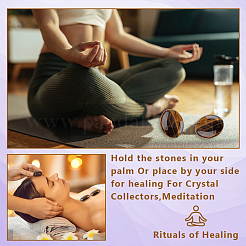 2 шт. натуральный тигровый глаз пальмовый камень AJEW-GA0007-90A