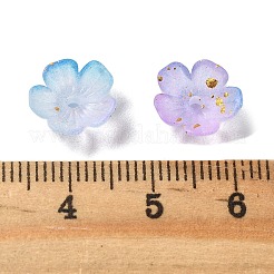 Акриловый шарик крышки OACR-Z028-03E