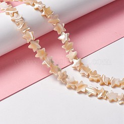 天然トロチッドシェル/トロカスシェルビーズ  スター  ナバホホワイト  10x11x2.5~3mm  穴：0.8mm  約46個/連  15.91インチ（40.4cm）&nbsp;SSHEL-O001-25C-01