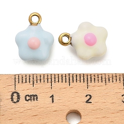 Подвески из нержавеющей стали 304 с эмалью&nbsp;STAS-P417-02G