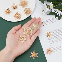 10шт 5 стильные латунные подвески со стразами KK-SC0001-94LG