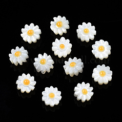 Perles en émail coquillage blanc naturel, fleur, orange, 6.5x6.5x3.5mm, Trou: 0.8mm