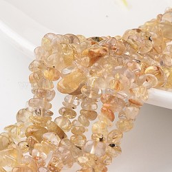 Fili di perle di quarzo rutilato in oro naturale con chip, grado A +, 7~12x5~8x2~5mm, Foro: 1 mm, circa 15.7 pollice