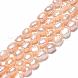 Brins de perles de culture d'eau douce naturelles, deux faces polies, blé, 6~9x5~6x5~6mm, Trou: 0.6mm, Environ 49~50 pcs/chapelet, 14.17 pouce ~ 14.57 pouces (36~37 cm)
