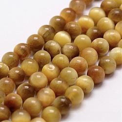 Natürlichen Tigerauge Perlenstränge, gefärbt und erhitzt, Runde, golden, 8 mm, Bohrung: 1 mm, ca. 44 Stk. / Strang, 14.9 Zoll ~ 15.1 Zoll