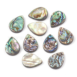 Abalone shell / paua shell beads, lágrima, colorido, 18x13x3mm, agujero: 1 mm