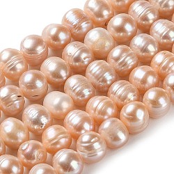 Brins de perles de culture d'eau douce naturelles, pomme de terre, grade a ++, peachpuff, 8.5~10x8~9mm, Trou: 0.6mm, Environ 42 pcs/chapelet, 14.06 pouce (35.7 cm)