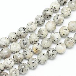 Chapelets de perles en jaspe sésame naturel / jaspe kiwi, ronde, fumée blanche, 8~9mm, Trou: 1mm, Environ 46~47 pcs/chapelet, 14.9~15.1 pouce