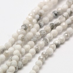 Natural Howlite Beads Strands, Faceted Round, 2mm, Hole: 0.8mm, about 190pcs/strand, 16 inch