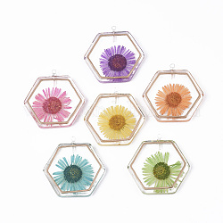 Colgantes de resina epoxi transparente, con adornos de metal grabados en latón y flor de crisantemo seca en el interior, instrumentos de viento, hexágono, color mezclado, 28x28x4mm, agujero: 1.5 mm