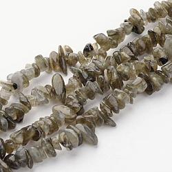 Natur Labradorit Chips Perlen Stränge, 5~8 mm, Bohrung: 0.3 mm, etwa 32~32.5 Zoll