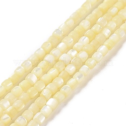 Natural Trochus Shell Beads Strands, Dyed, Column, Pale Goldenrod, 3.5x3.5mm, Hole: 0.8mm, about 113pcs/strand, 15.59''(39.6cm)