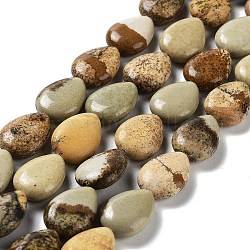 Chapelets de perles en jaspe avec images naturelles, larme, 17.5~18x13x6mm, Trou: 1.2mm, Environ 22 pcs/chapelet, 15.24 pouce (38.7 cm)