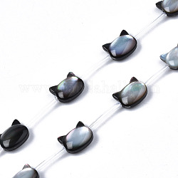 Abalorios naturales de concha de labio negro hebras, gato, 8x10x3~4mm, agujero: 0.5~0.6 mm, aproximamente 20 pcs / cadena, 16.30 pulgada ~ 17.52 pulgadas (41.4 cm ~ 44.5 cm)