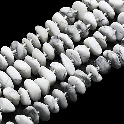 Fili di perline howlite naturale, con perline semi, piatto, 7~13x8~9x3~4mm, Foro: 1 mm, circa 75pcs/filo, 14.76'' (37.5 cm)
