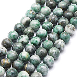 Brins de perles rondes en dioptase naturelle, 8~8.5mm, Trou: 1mm, Environ 44 pcs/chapelet, 15.47 pouce (39.3 cm)