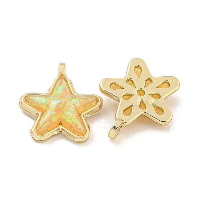 Подвески из полупрозрачной смолы KK-M291-24F-1