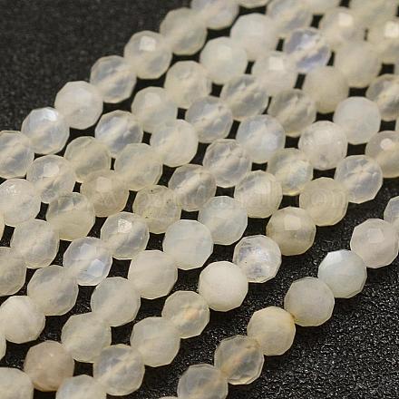 Naturelles perles pierre de lune blanc brins G-F509-20-4mm-1