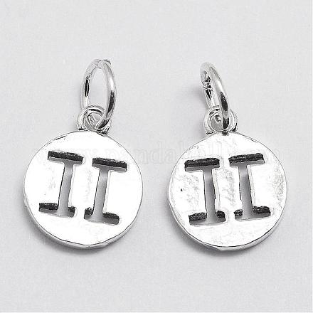 Thai Sterling Silver Charms STER-P014-07-1