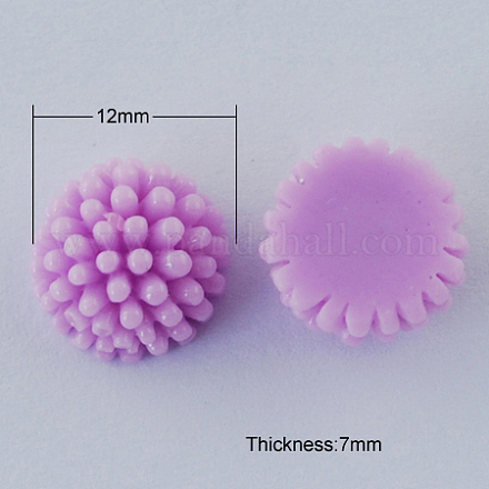 Resin Cabochons CRES-B2085-A108-1