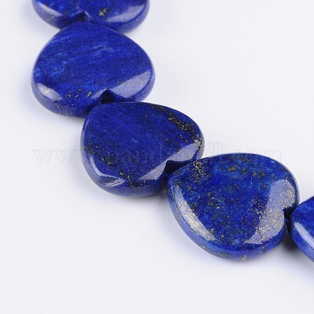 Dyed Heart Natural Lapis Lazuli Bead Strands G-F272-04-1