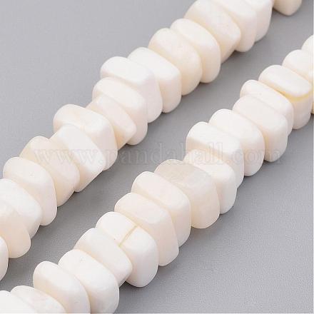 Chapelets de perles en coquillage naturel BSHE-P021-16-1