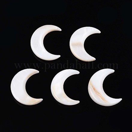 Натуральные пресноводные ракушки SHEL-S267-04B-1